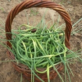 Trebam li ukloniti strelice sa bijelog luka